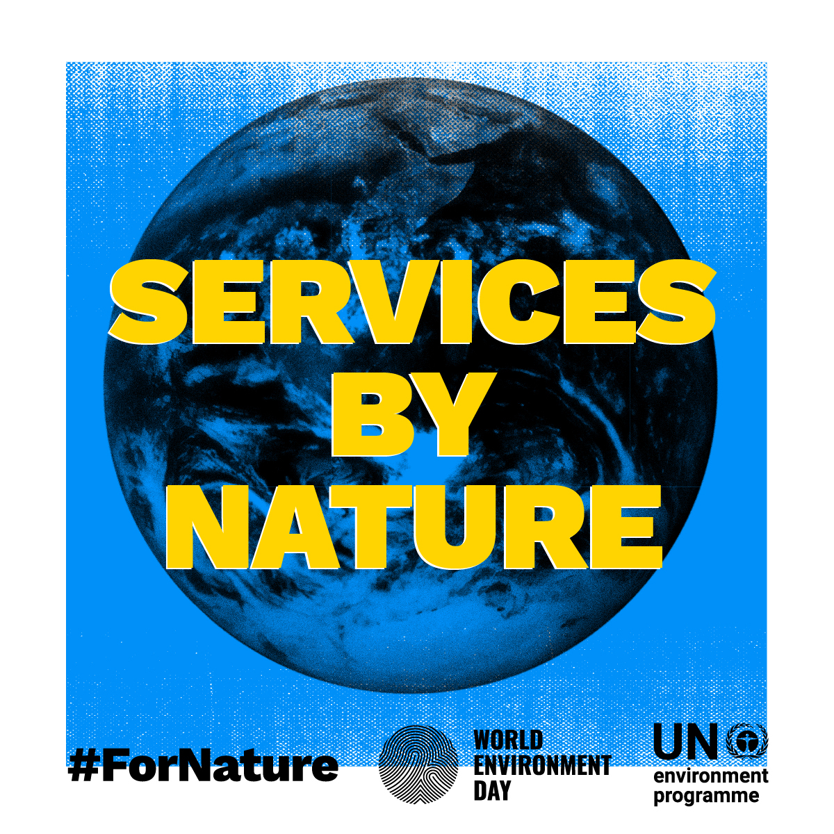 Geneva Environment Network : Nature-based Solutions – QZEOF