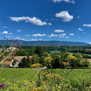 Geneva Country side
