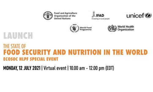 Launch of the State of Food Security and Nutrition in the World (SOFI ...
