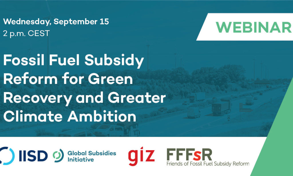 Fossil Fuel Subsidy Reform for Green Recovery and Greater Climate ...