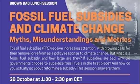 Fossil Fuel Subsidies and Climate Change: Myths, Misunderstandings and ...