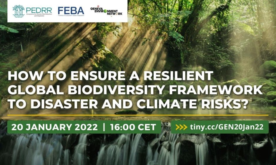 How to Ensure a Resilient Global Biodiversity Framework to Disaster and ...
