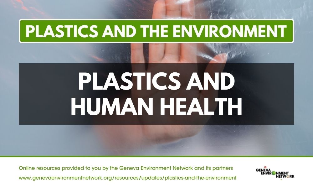 Preventing Plastic Pollution - Greenpeace USA