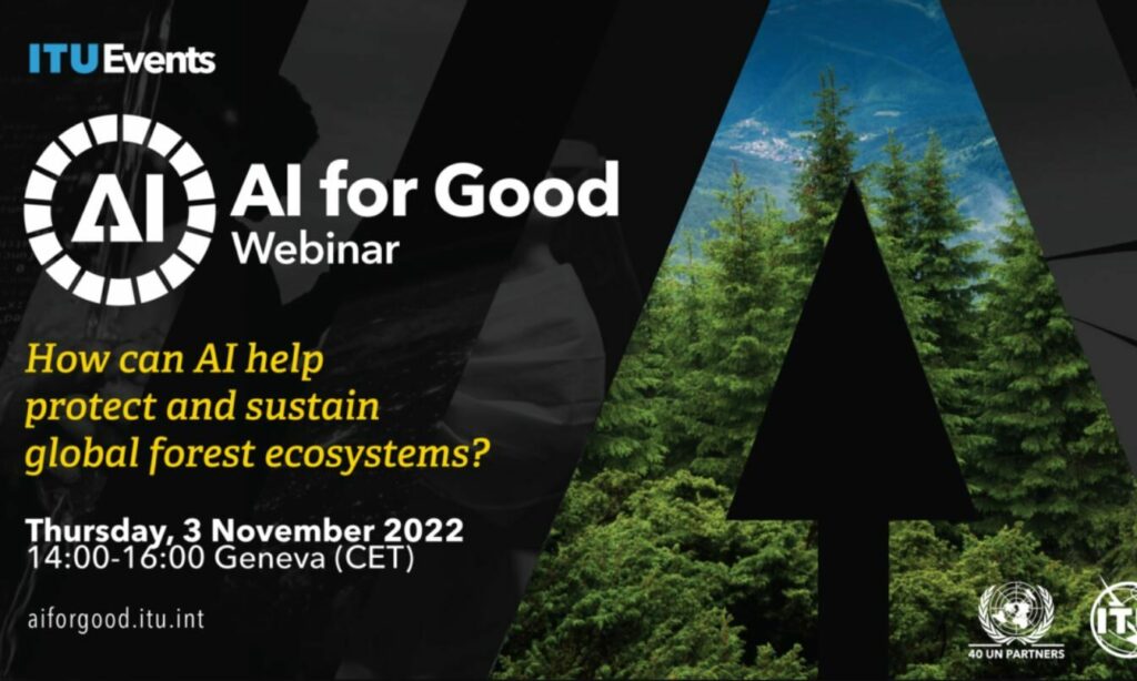 AI for Good | How can AI help protect and sustain global forest ...