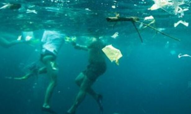 Plastic Pollution and the Small Island Developing States: the role of ...