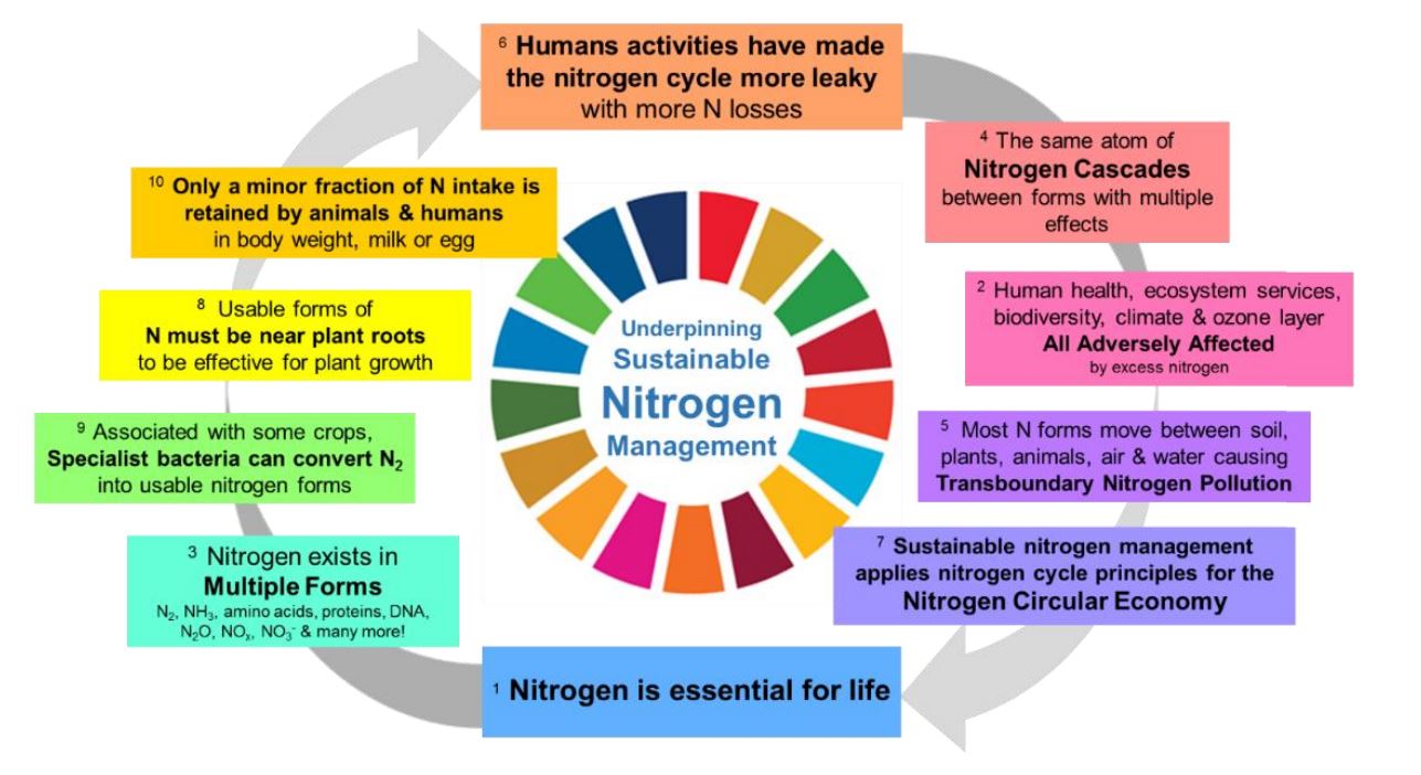 Managing nitrogen for sustainable development