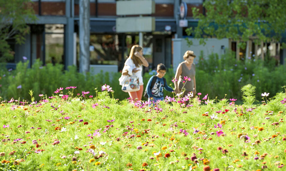 Environment: What’s Up in GENeva | 22 – 29 May 2023 – Geneva ...