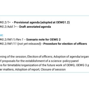 Slide explaining agenda for OEWG 2