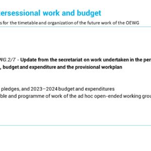 Slide presenting Update on intersessional work and budget