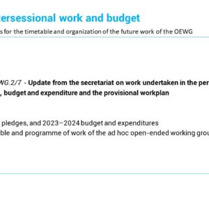 Slide presenting Update on intersessional work and budget
