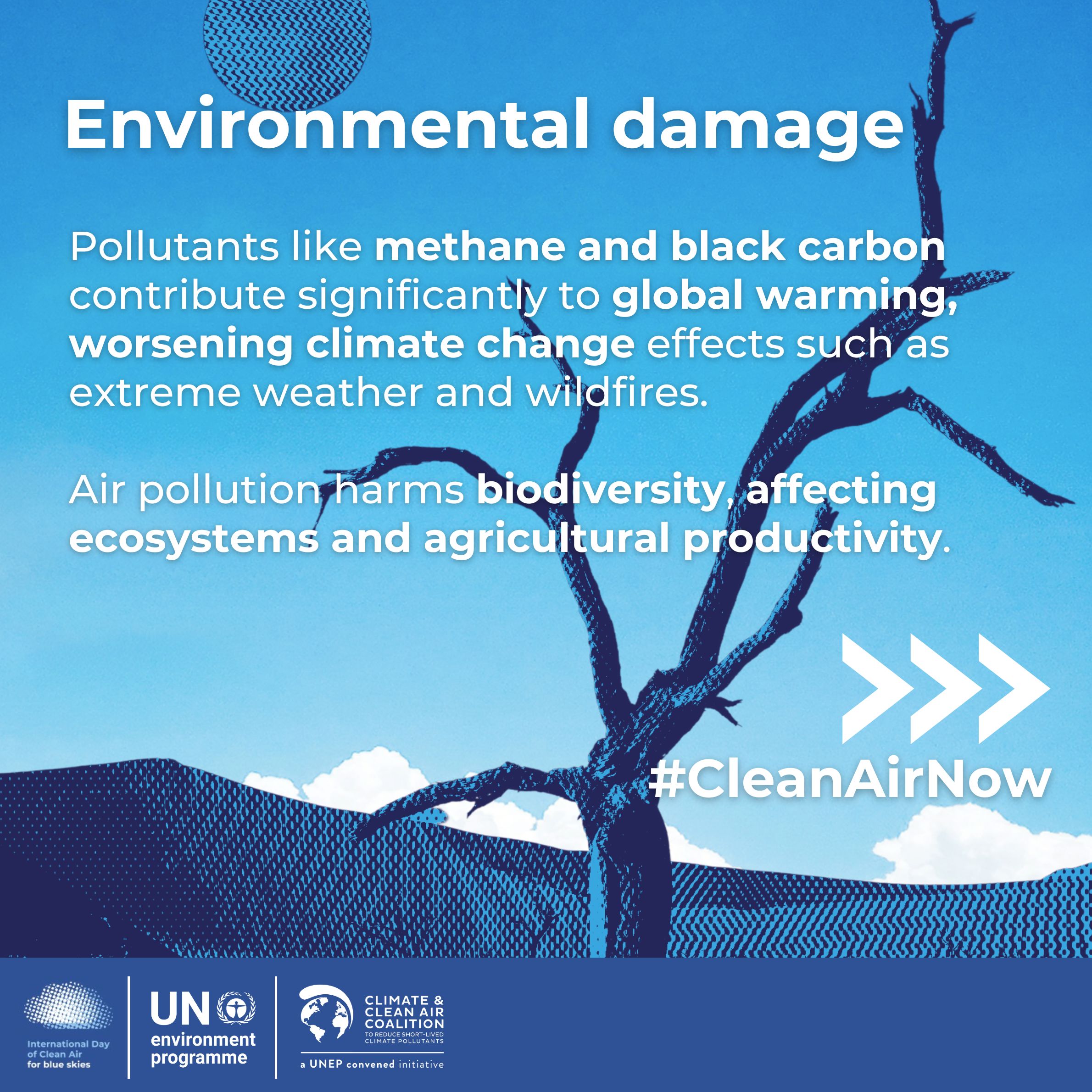 International Day of Clean Air for Blue Skies – Geneva Environment Network