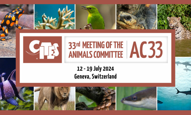 33rd Meeting of the Animals Committee – Geneva Environment Network