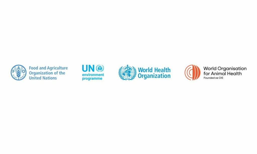 One WHO for One Health: Tackling health challenges through a holistic ...