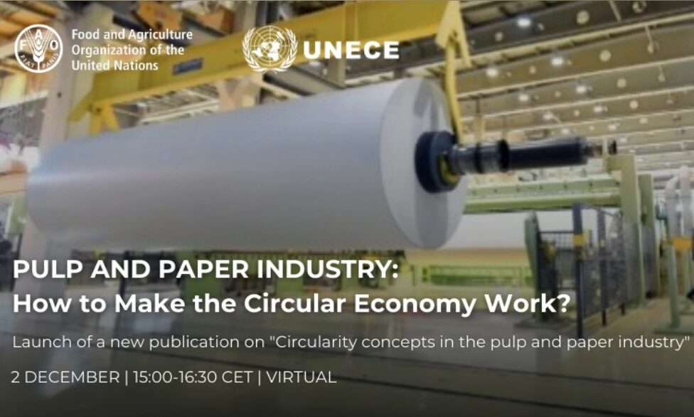Pulp and Paper Industry: How to Make the Circular Economy Work ...