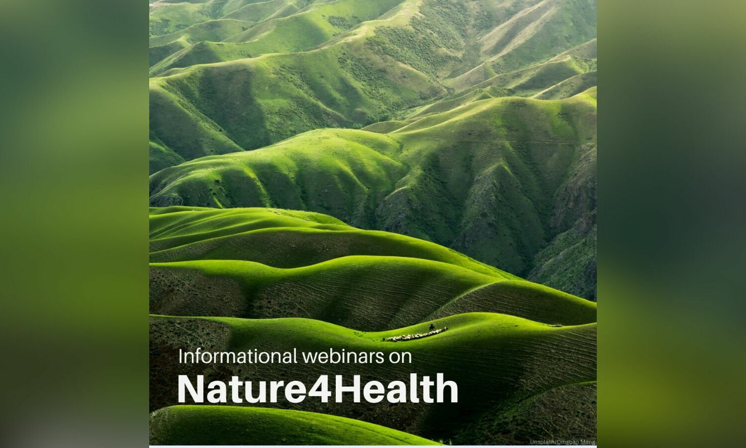 Environment: What’s Up in GENeva | 25 November – 1 December 2024 ...