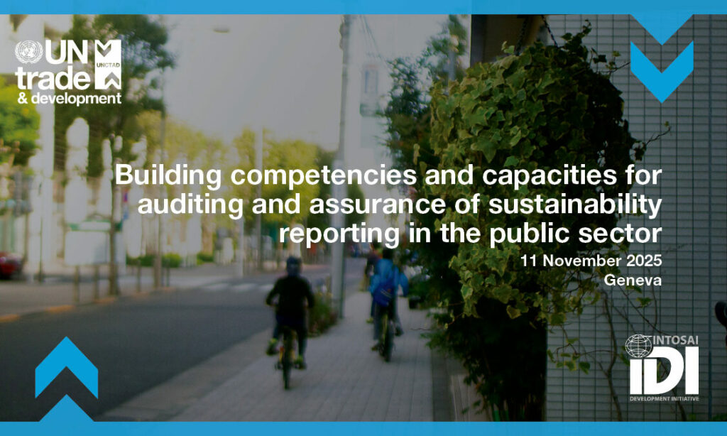 Building competencies and capacities for auditing and assurance of ...