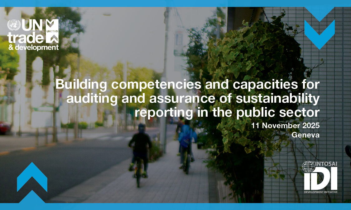 Building competencies and capacities for auditing and assurance of ...