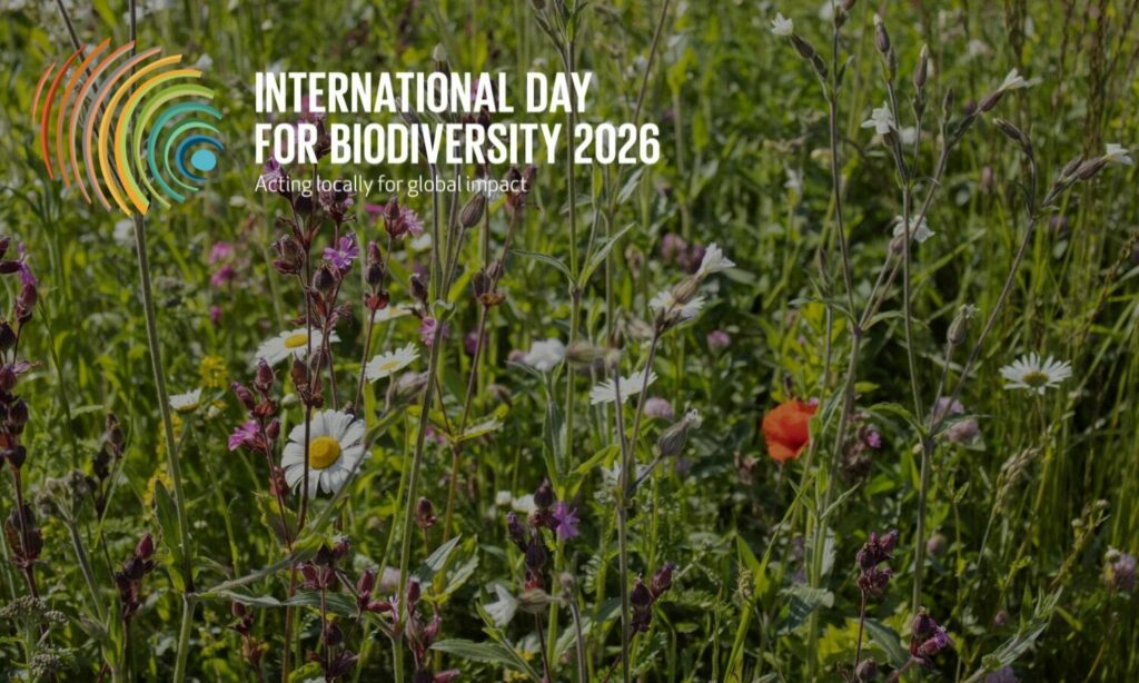 Leveraging Local and Global Action for Nature Towards the UN ...