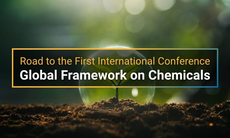 Road to the First International Conference of the Global Framework on ...