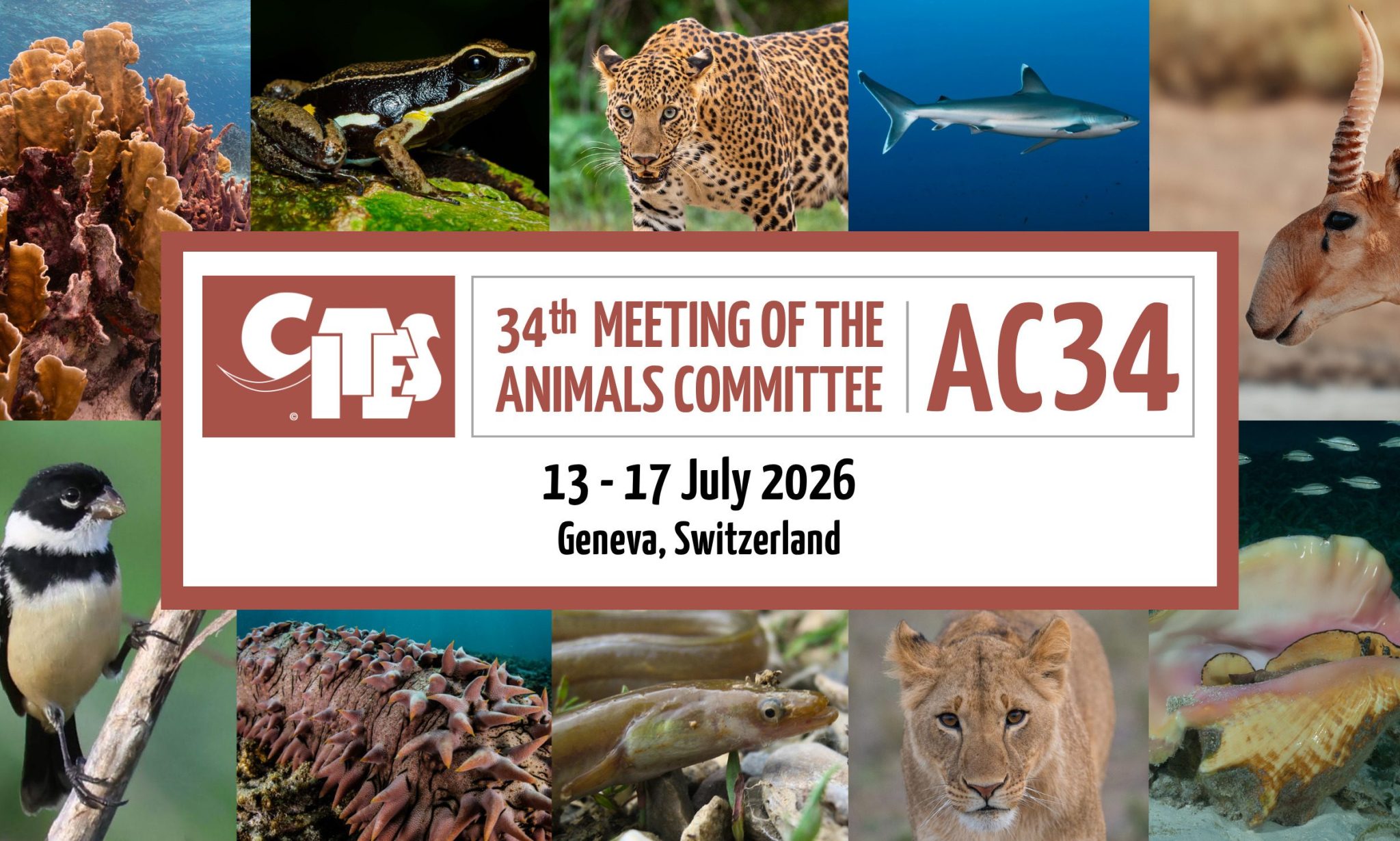 34th Meeting of the CITES Animals Committee – Geneva Environment Network